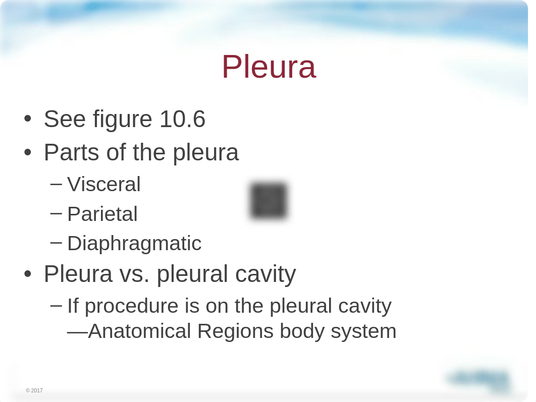 Chapter 10 Respiratory w audio.pptx_d0m1q15ry0r_page4