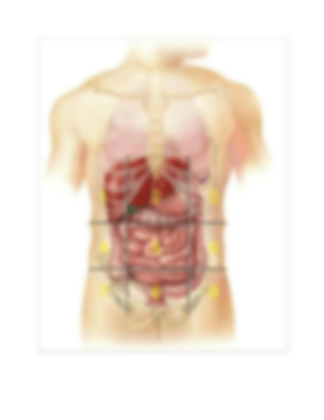 PHYS_ Ch. 1 Review questions.pdf_d0ma4vsdm5e_page5