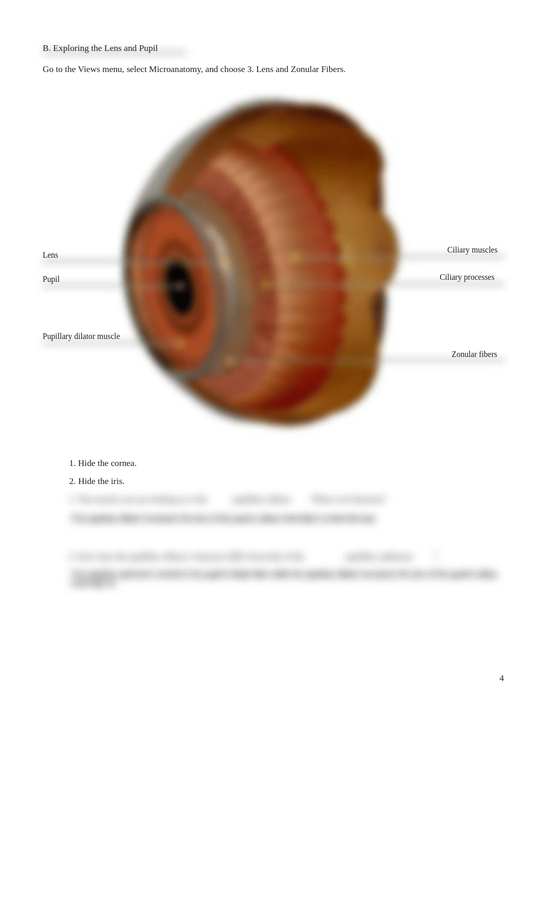 vision lab.pdf_d0maslc5zq0_page4