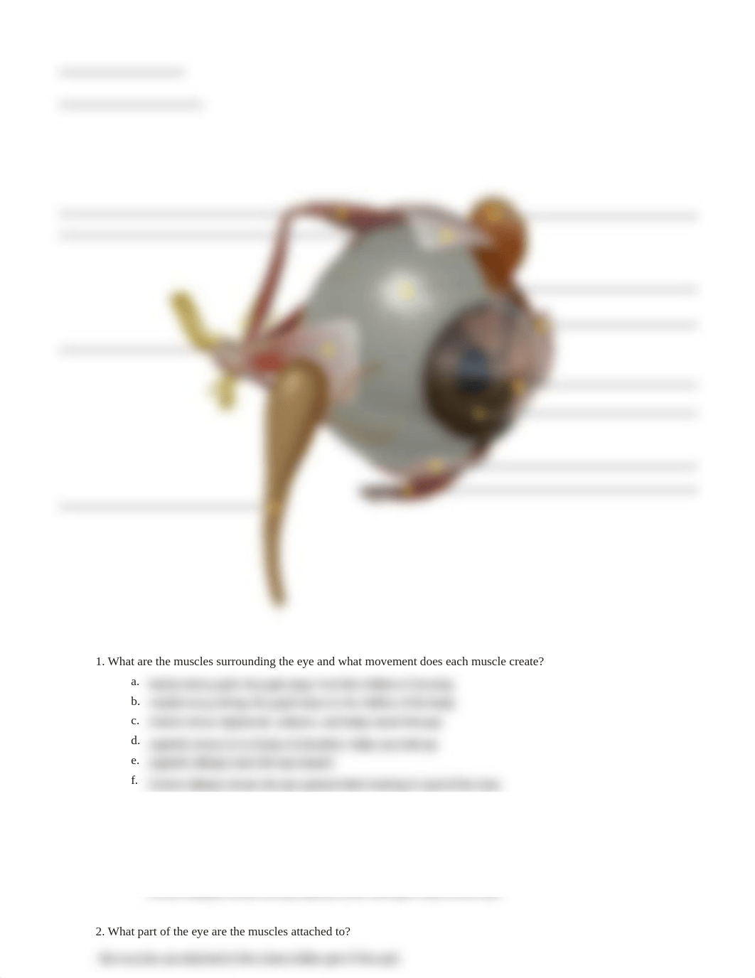 vision lab.pdf_d0maslc5zq0_page2