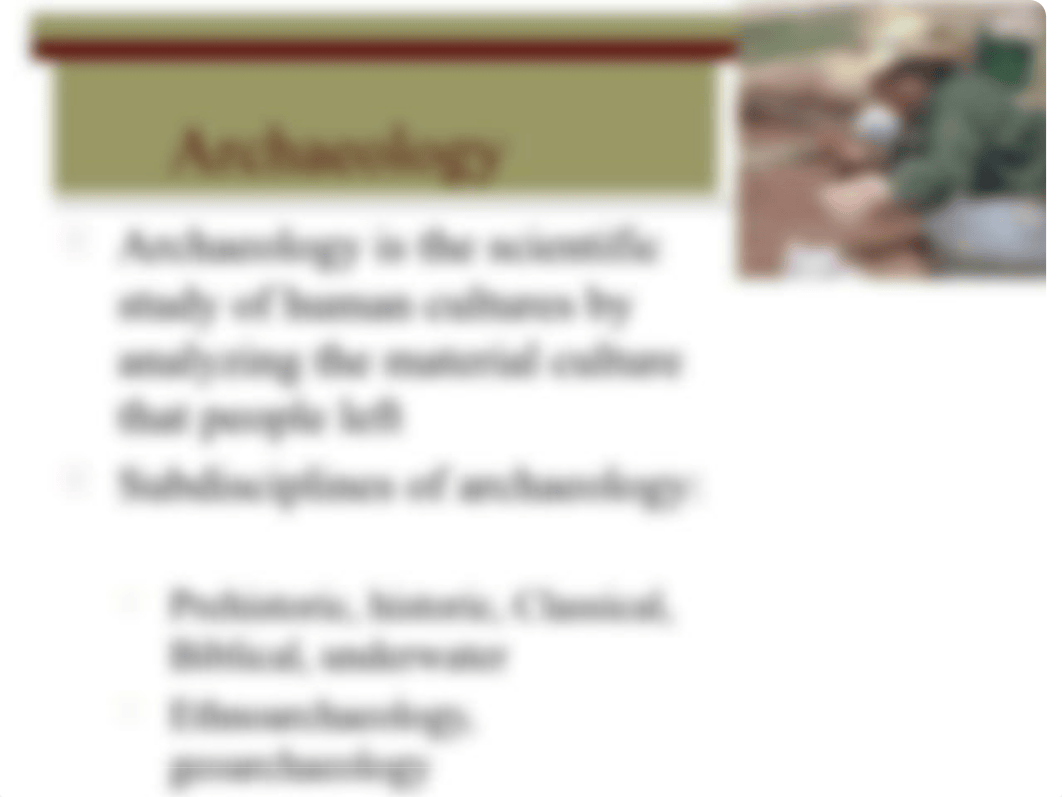 WhatIsAnthropology.ppt_d0mo1584pa9_page5