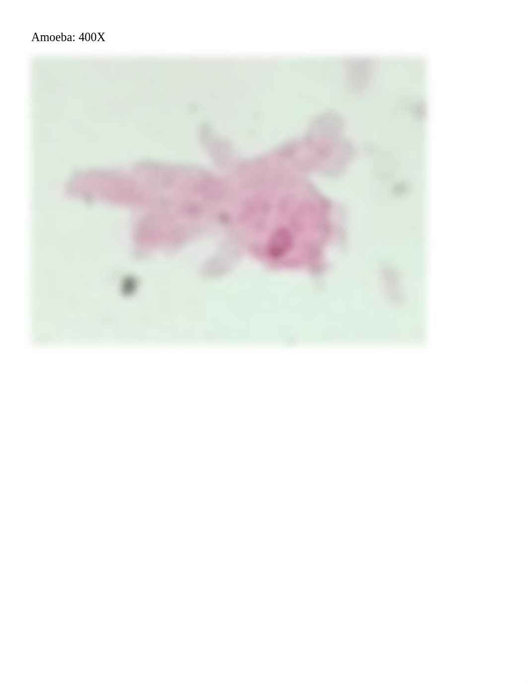 Brandon Thomas Hand In 4 & Protista Pictures.pdf.pdf_d0msf8wel81_page2