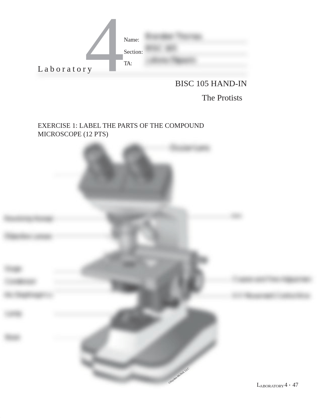 Brandon Thomas Hand In 4 & Protista Pictures.pdf.pdf_d0msf8wel81_page1