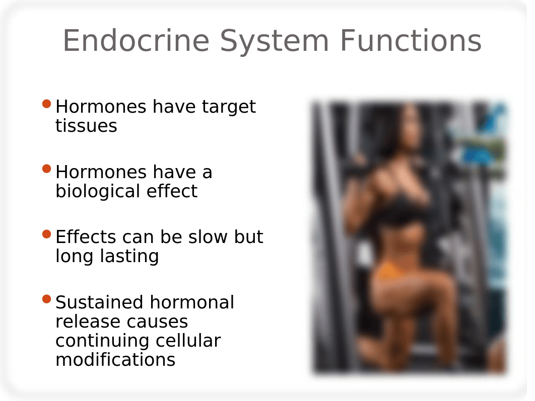 NSCA4E chap04.ppt_d0myufhug8a_page4