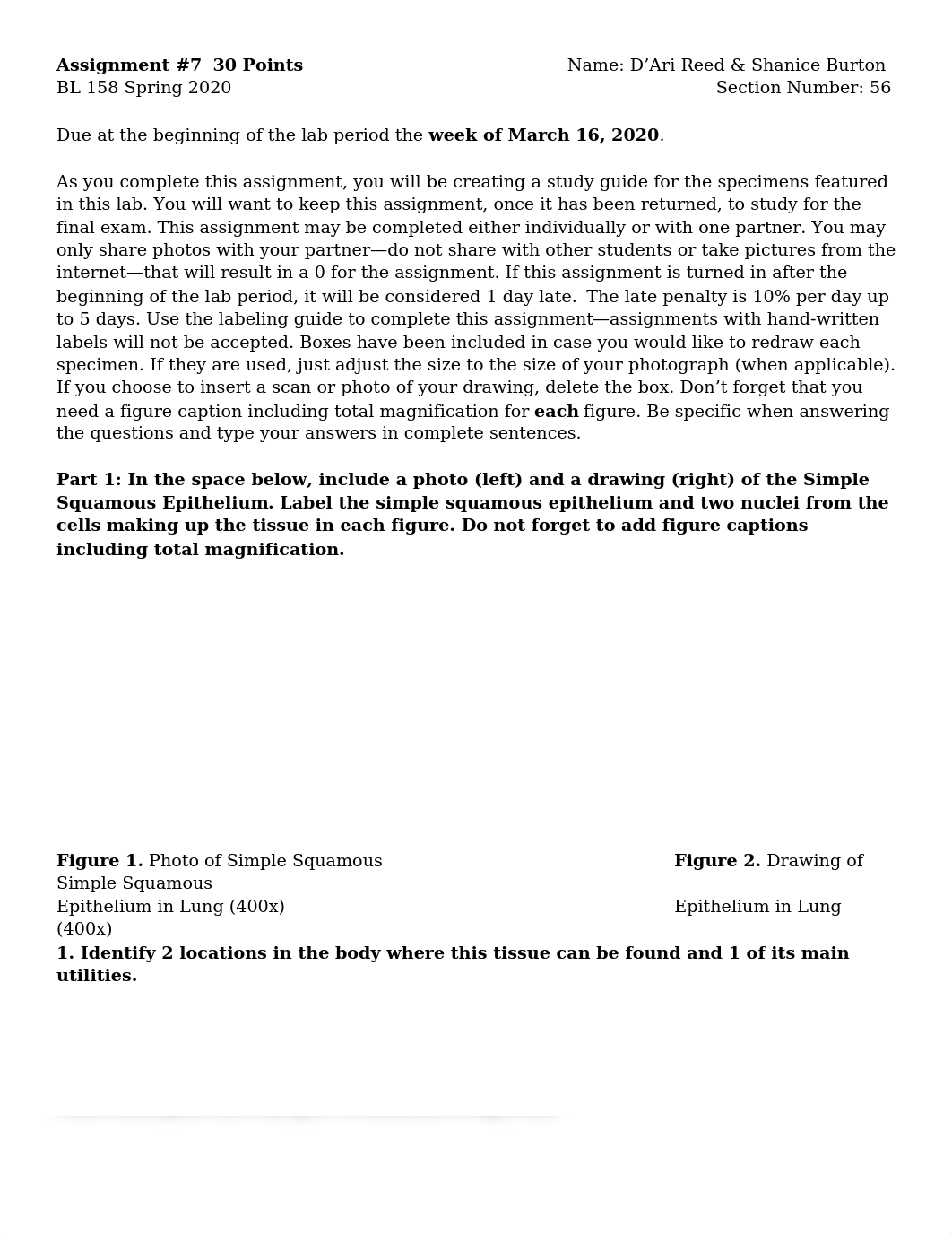 Assignment 7.docx_d0n0qmpwqsg_page1