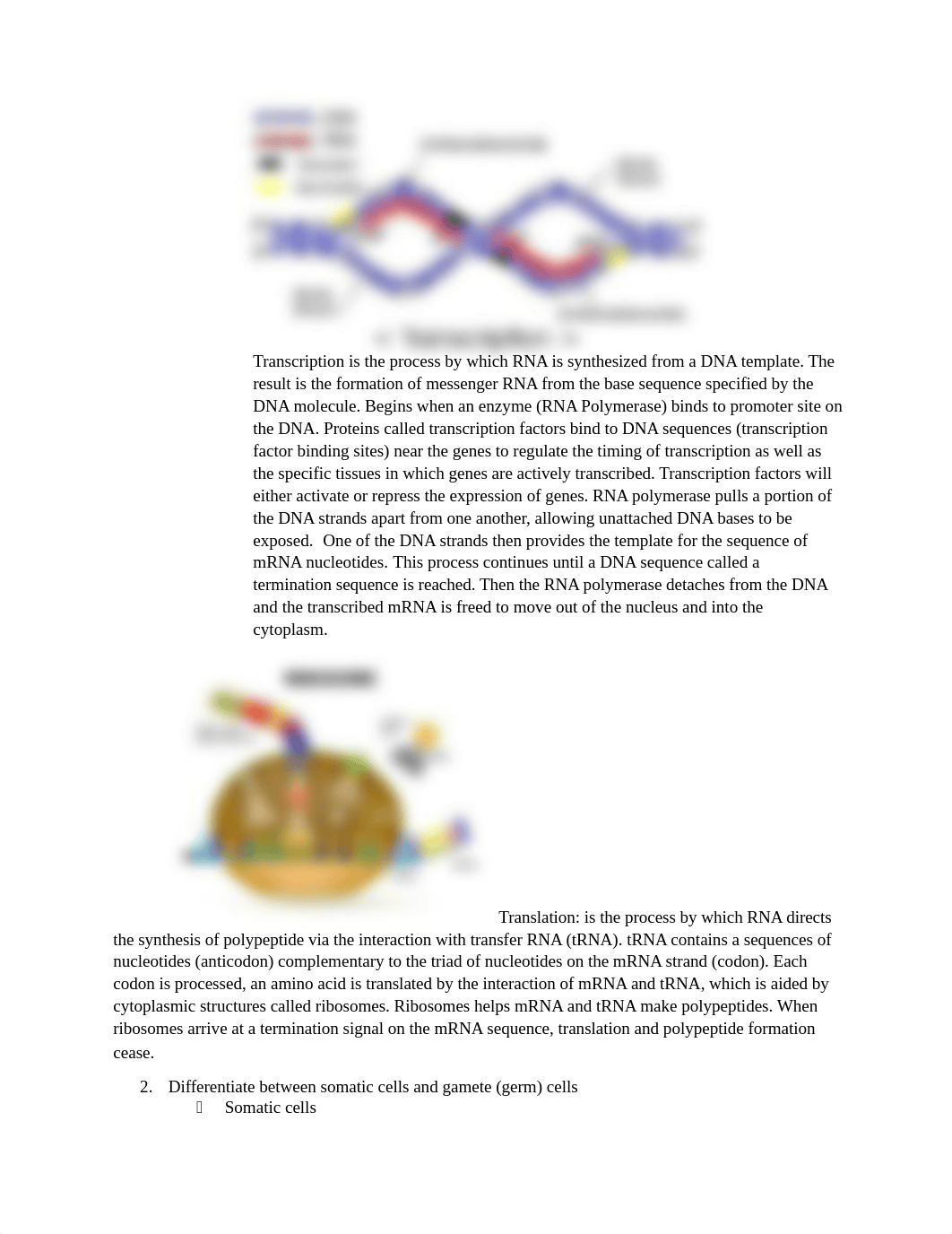 genetics_d0n6cn0f8qh_page2