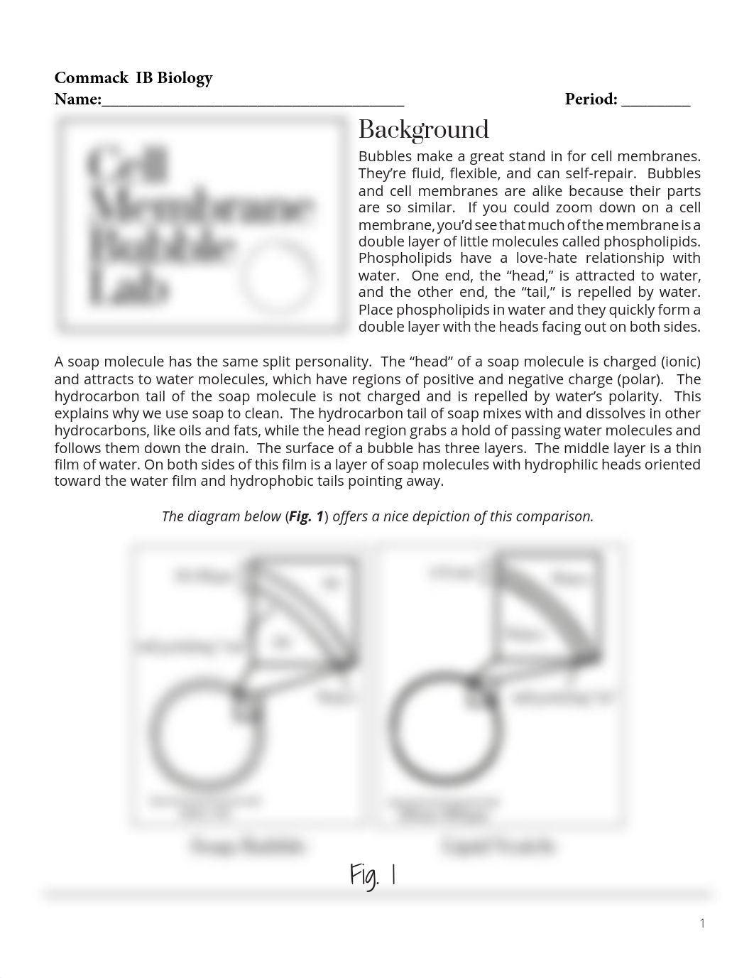 BIO U1 Cell Membrane Bubble_Lab.pdf_d0n6h8b2yrh_page1