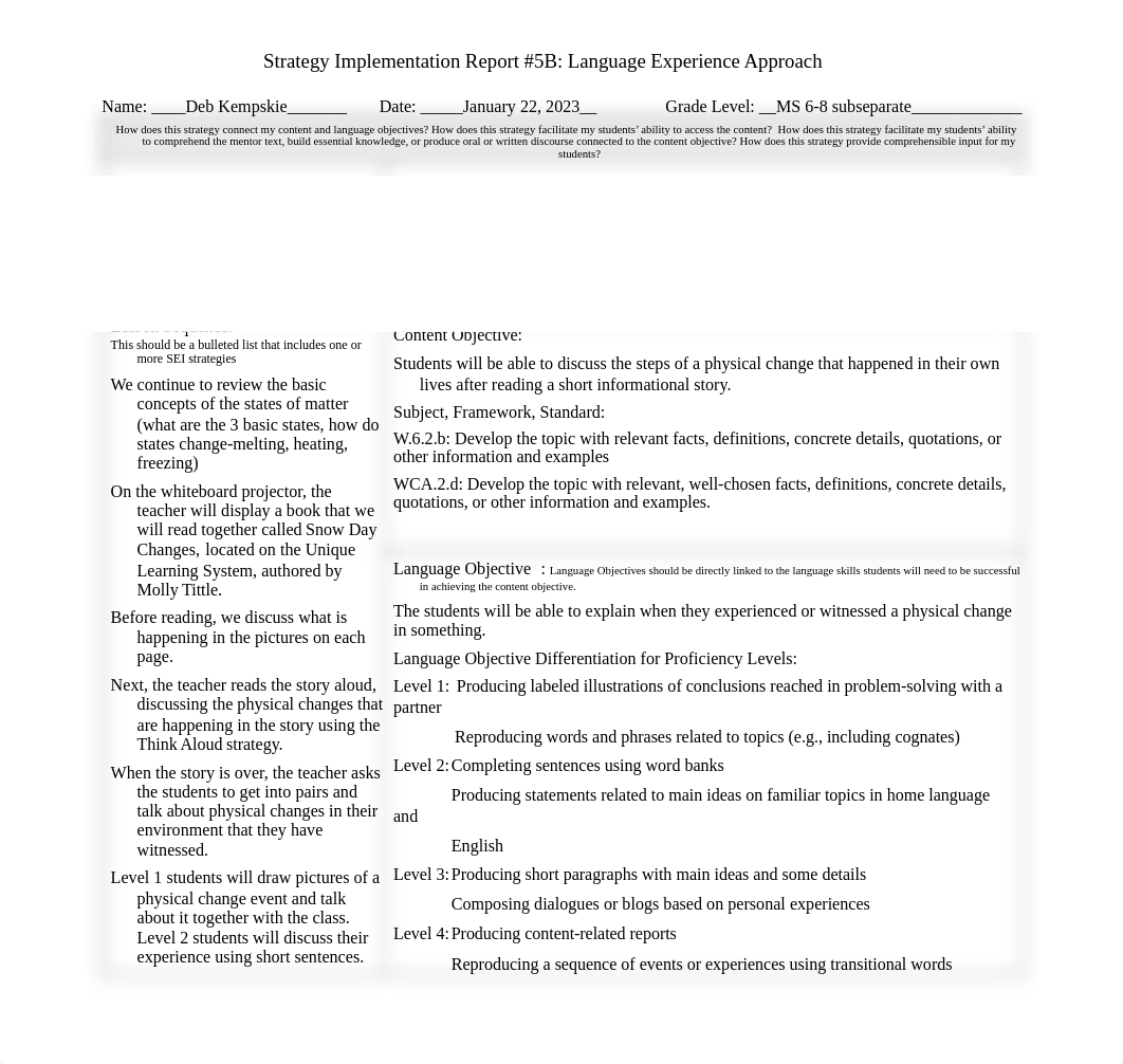 5B SIR Language Experience Approach DK.docx_d0n9b0aa5mg_page1