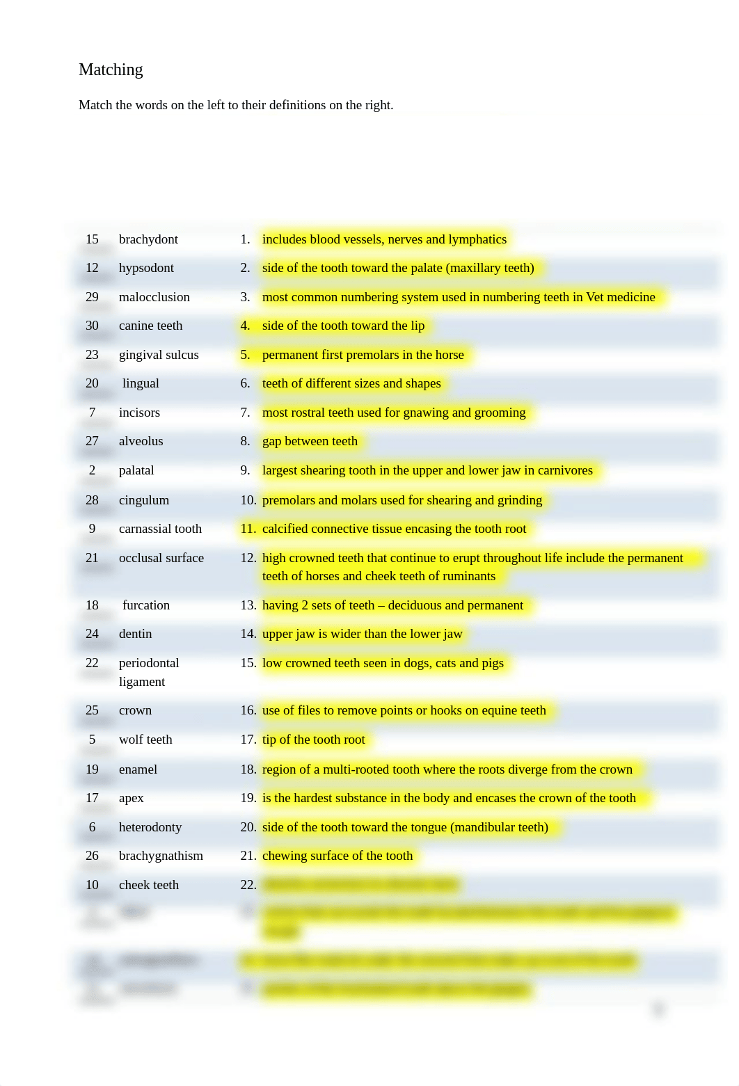 Assignment 5.1 All About Teeth.docx_d0ncq0px0ki_page3