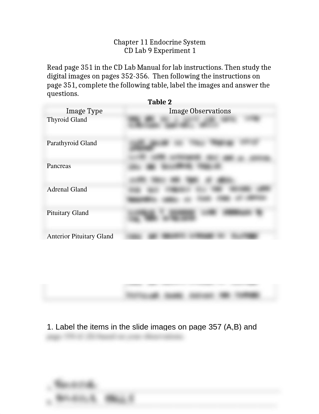 Chapter 11 Endocrine System exp 1 no photos.docx_d0neyeuwsf2_page1