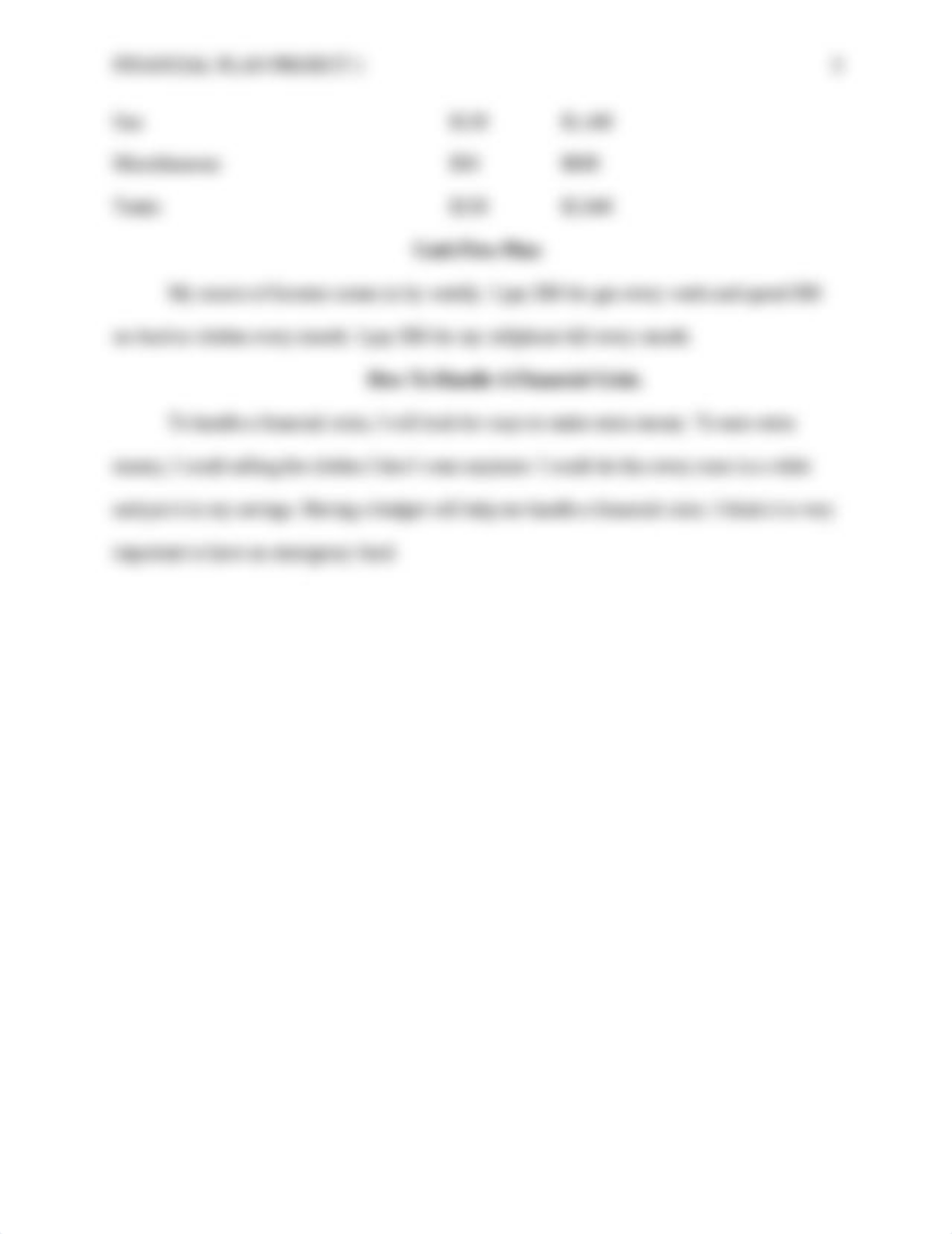 Financial Plan Project 1-Daniella.doc_d0nqpqwdjvz_page3