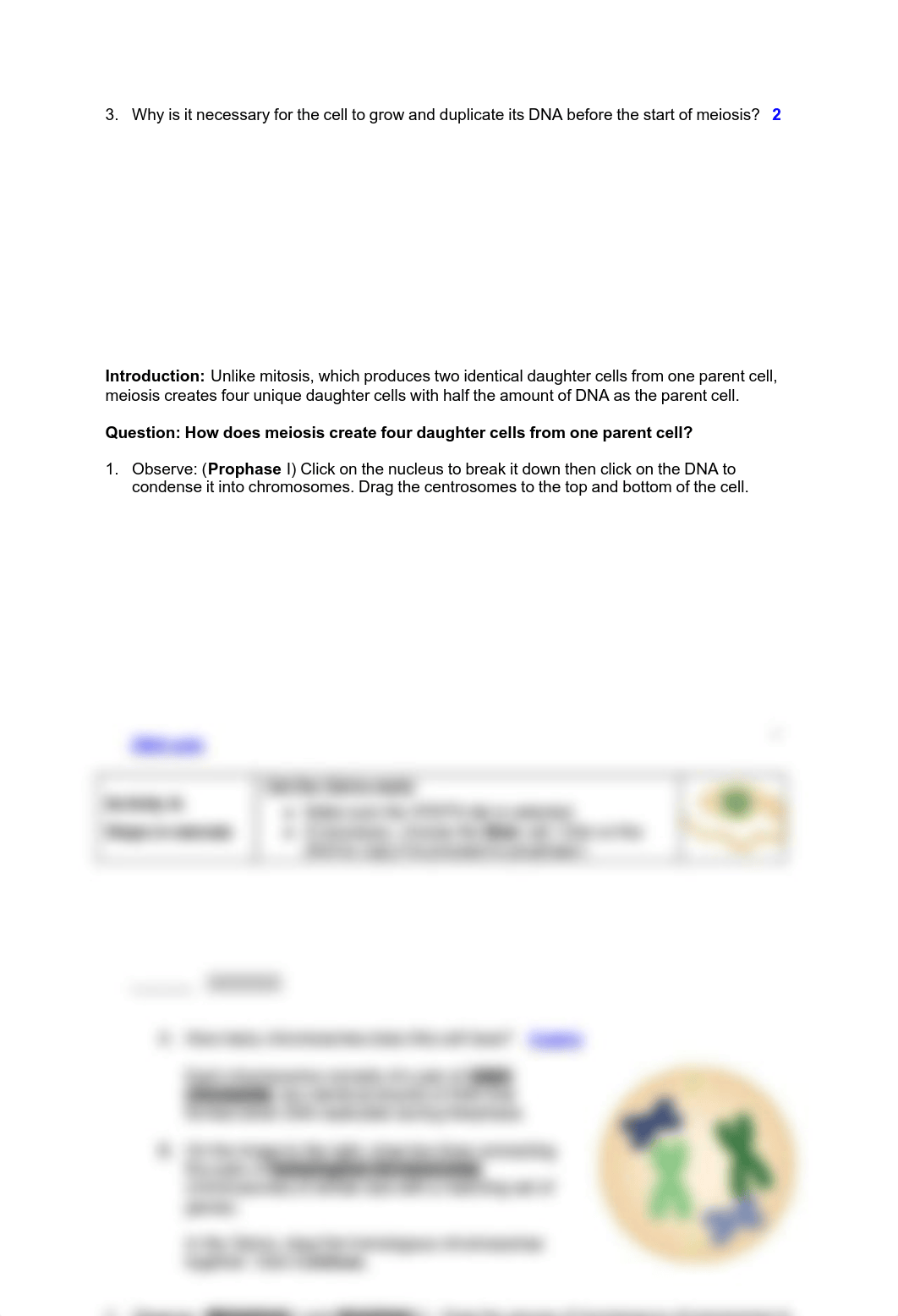 meiosis-se-2.pdf_d0o10gf0itb_page3