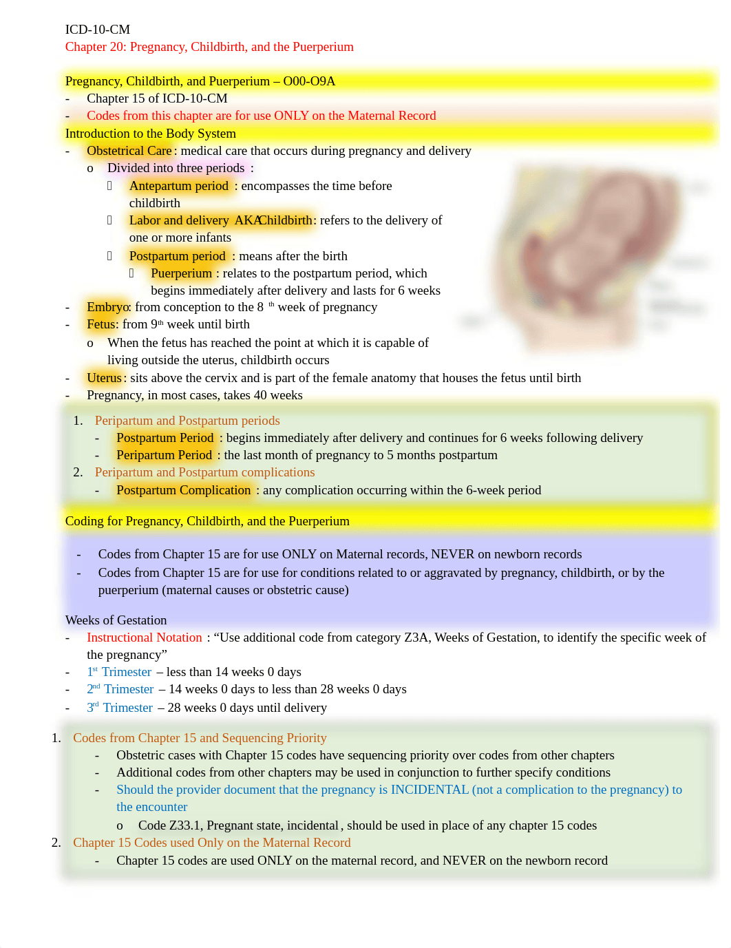 ICD-10-CM Chapter 20 Notes.docx_d0o3mdttxvx_page1