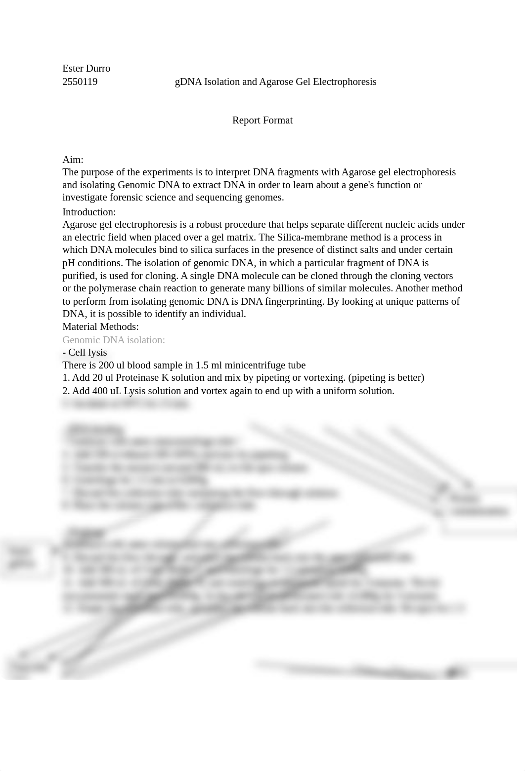 LAB4.docx_d0o5c7g0lh5_page1