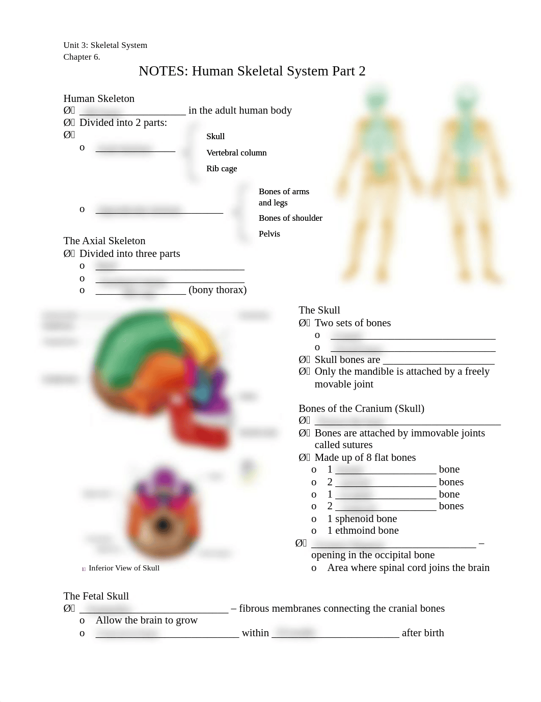 Keshaunana Harris - Skeletal_System_Pt_2_Fill_in_STUDENT_KD15.pdf_d0o7wuxea01_page1