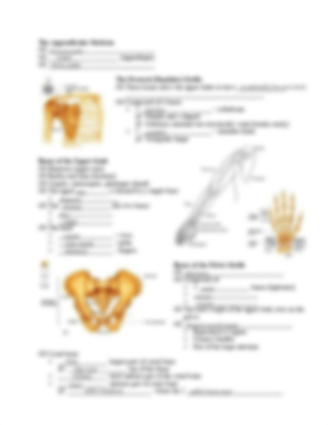 Keshaunana Harris - Skeletal_System_Pt_2_Fill_in_STUDENT_KD15.pdf_d0o7wuxea01_page3