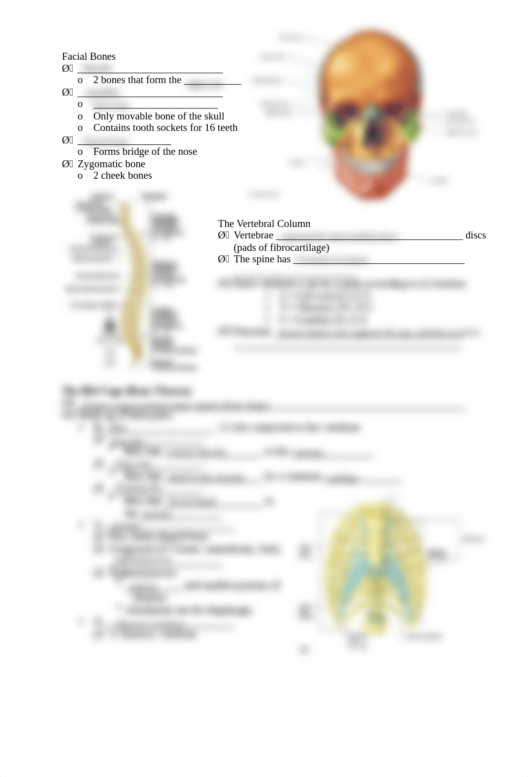 Keshaunana Harris - Skeletal_System_Pt_2_Fill_in_STUDENT_KD15.pdf_d0o7wuxea01_page2