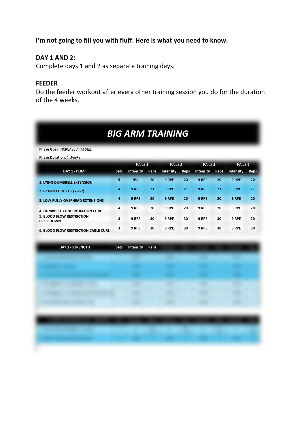 BIG ARM TRAINING .pdf_d0oe21o6en9_page4