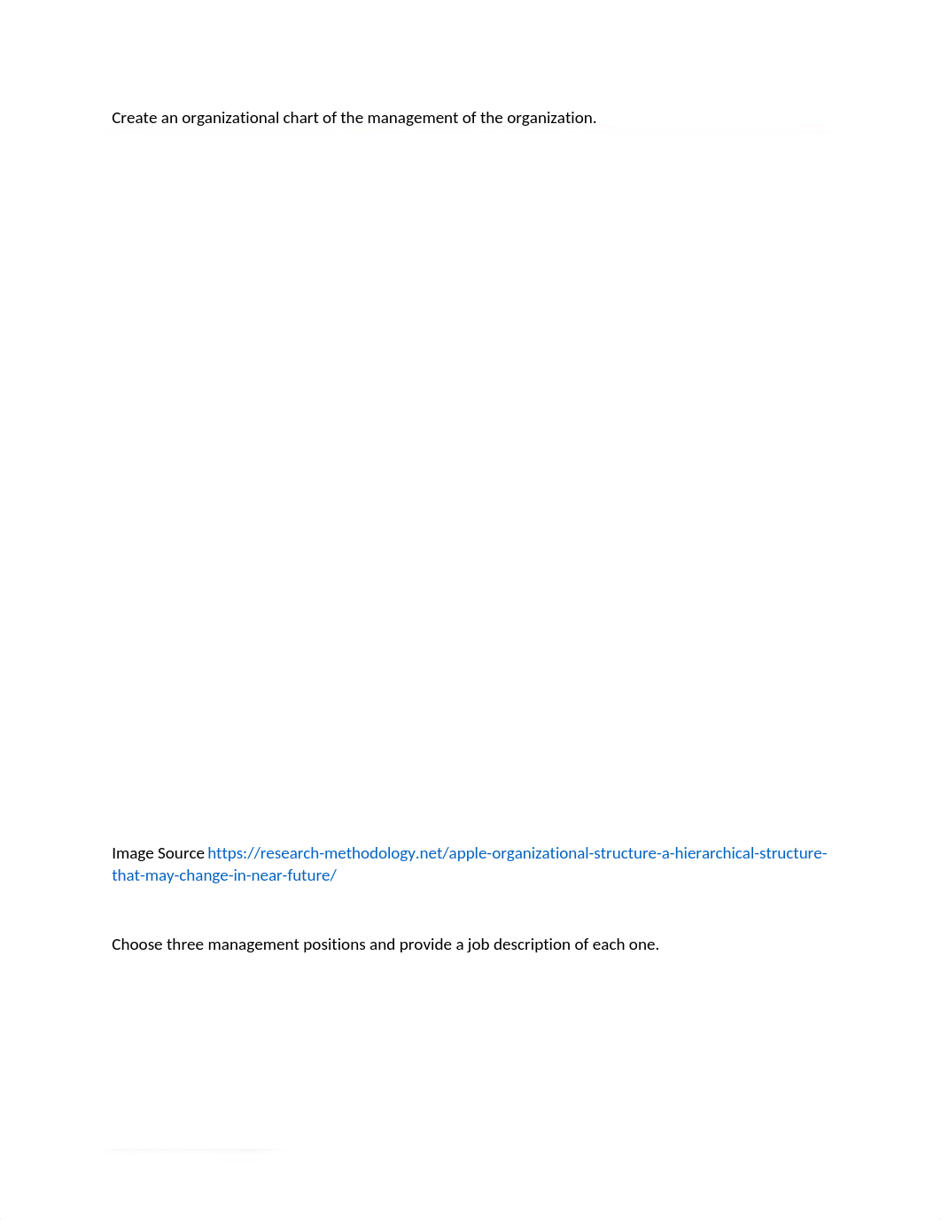 Create an organizational chart of the management of the organization.docx_d0of7anjv8n_page1