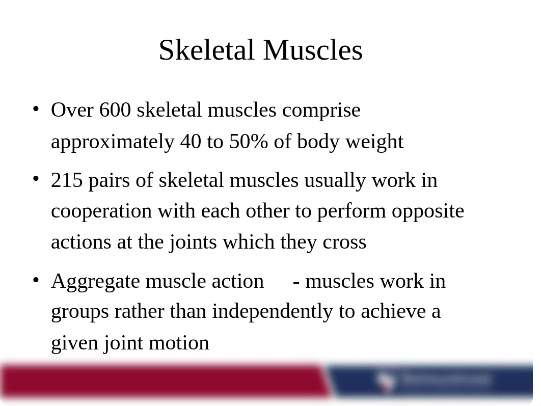 Chapter 2 - Neuromuscular Fundamentals (STUDENT).pptx_d0ofvp9nknn_page4