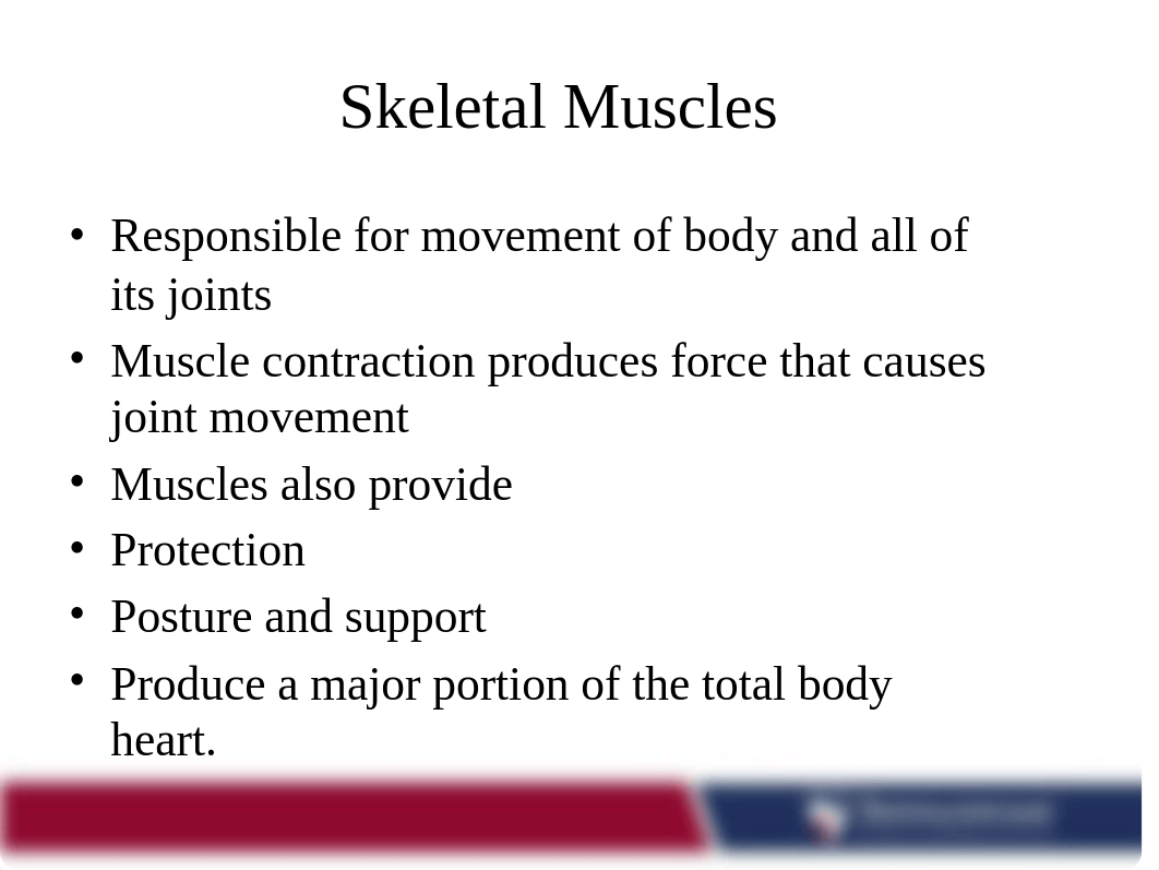 Chapter 2 - Neuromuscular Fundamentals (STUDENT).pptx_d0ofvp9nknn_page3