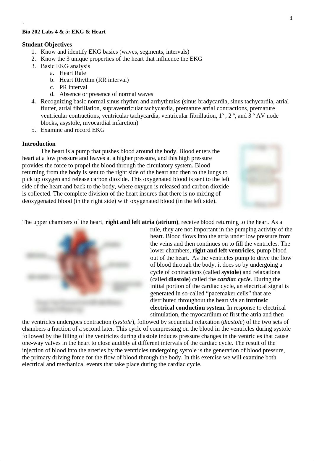 Labs 4 & 5 EKG.docx_d0okkmq0zw5_page1