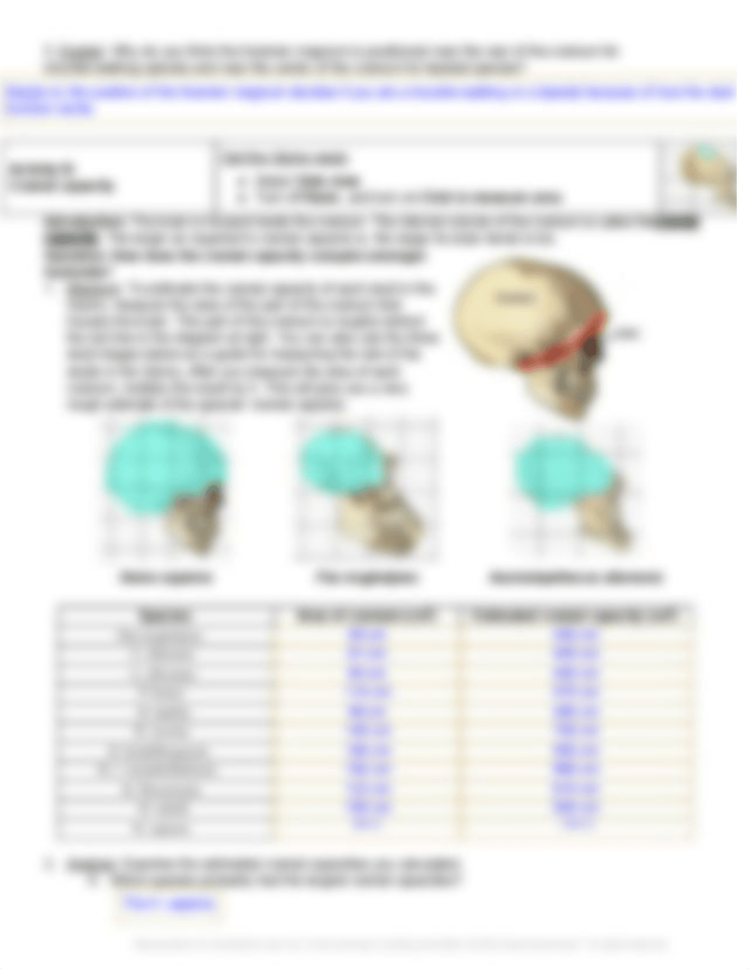 Gizmos_ Human Evolution.pdf_d0omjiqctek_page3