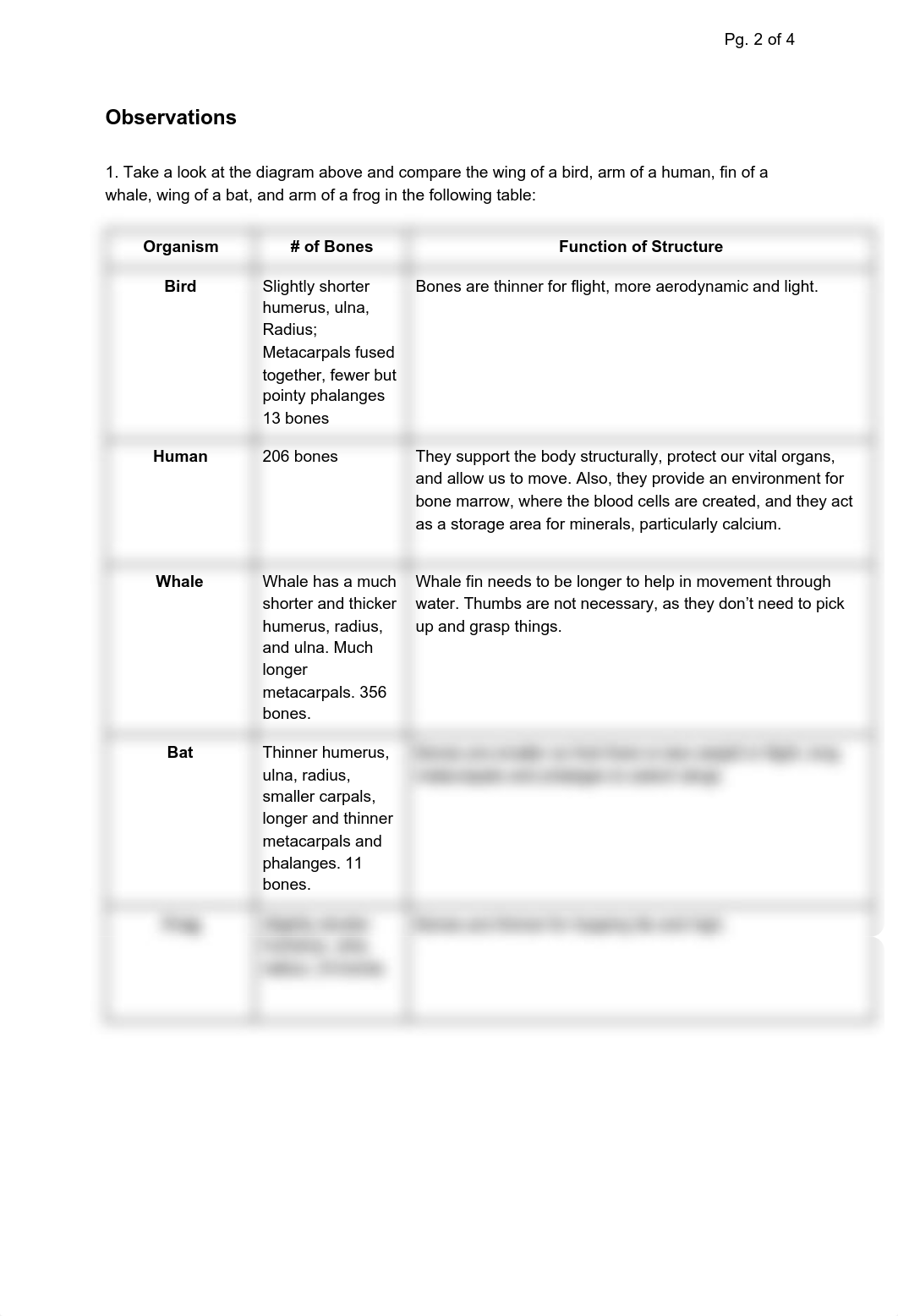 (Amara's)Evidence of Evolution Comparative Activity (1).pdf_d0owcdualfq_page2