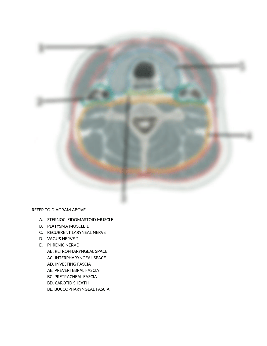 EXAM 3-NECK.docx_d0owcp4gvut_page1