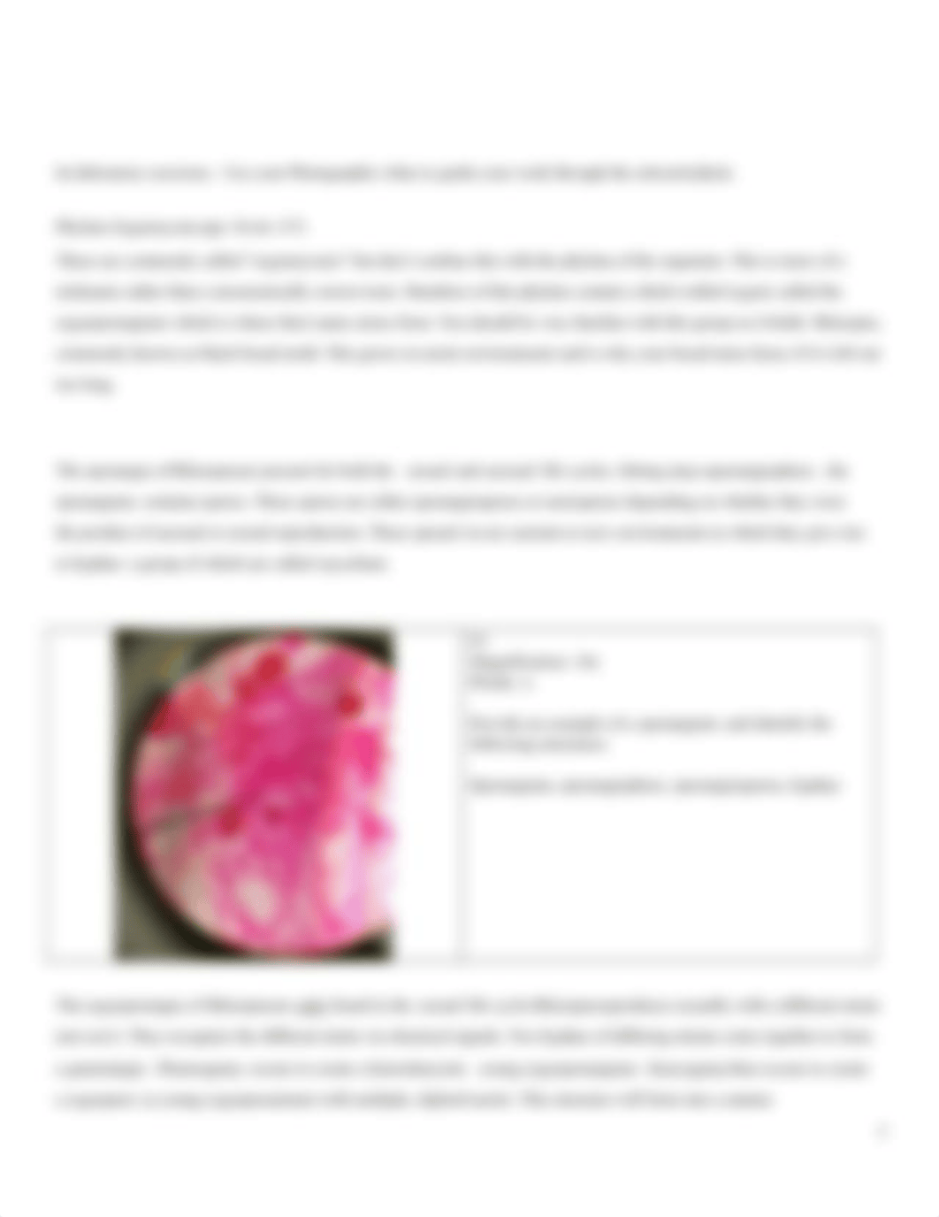 Fungi Survey_d0oyebgedab_page3