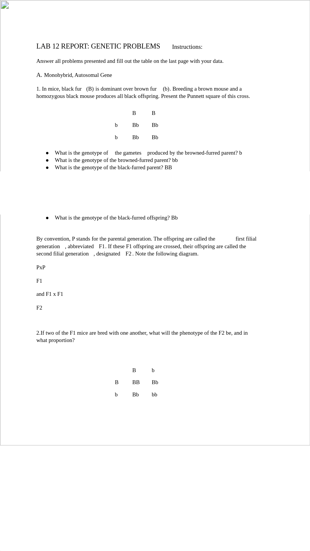 bio lab 12.pdf_d0p3cj1kw79_page1