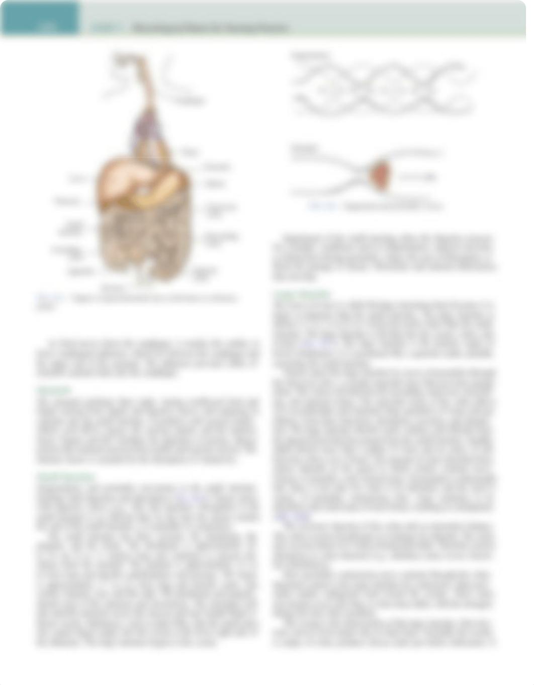 bowel elimination.pdf_d0pb219qp40_page2