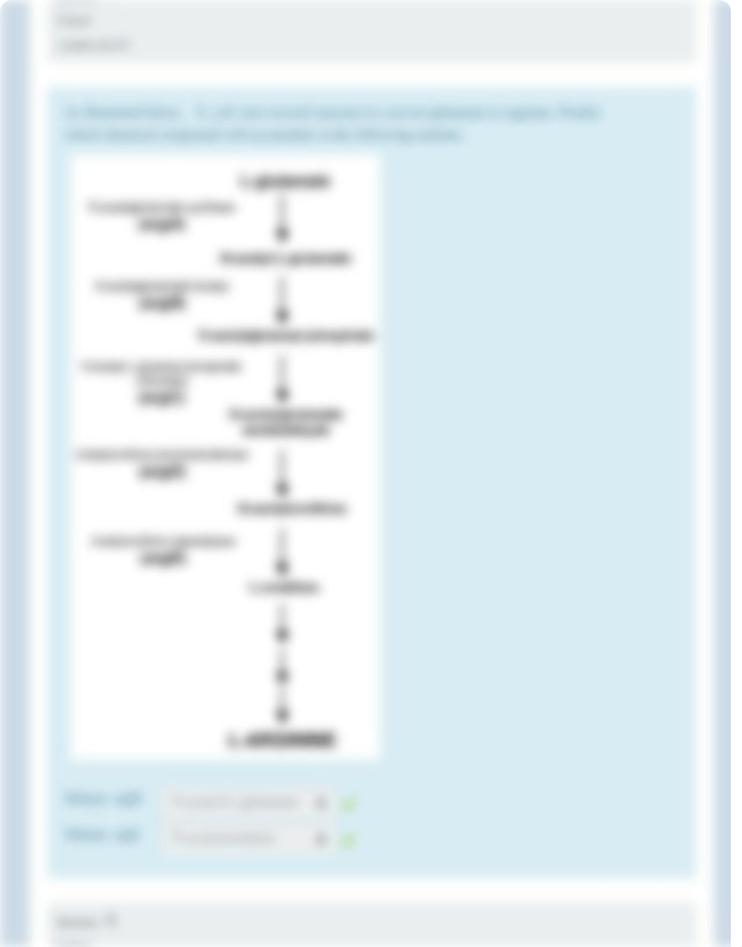 ExamIII_closed_wrapper.pdf_d0pdiukqykh_page4