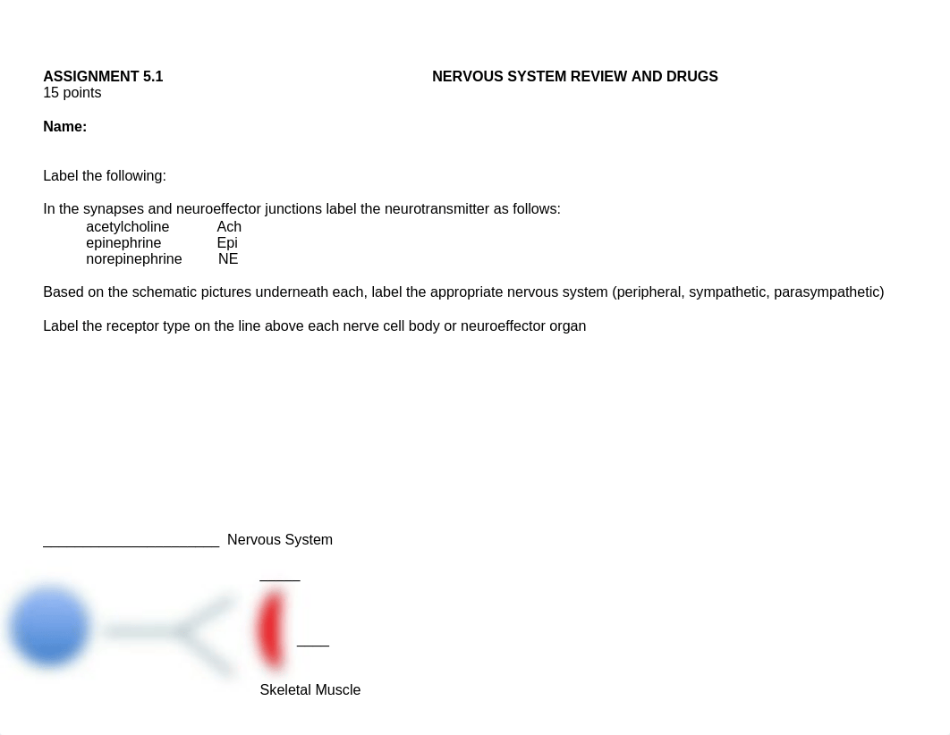 Assignment 5.1 Nervous System Review and Drugs.docx_d0pjf7vbk18_page1