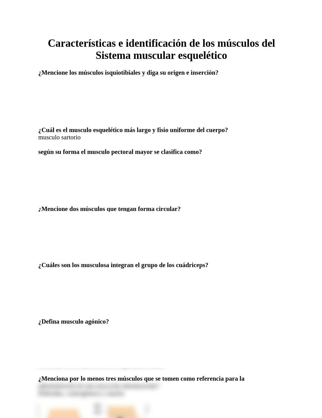 Características e identificación de los músculos del Sistema muscular esquelético.docx_d0pjwfnjz7q_page1