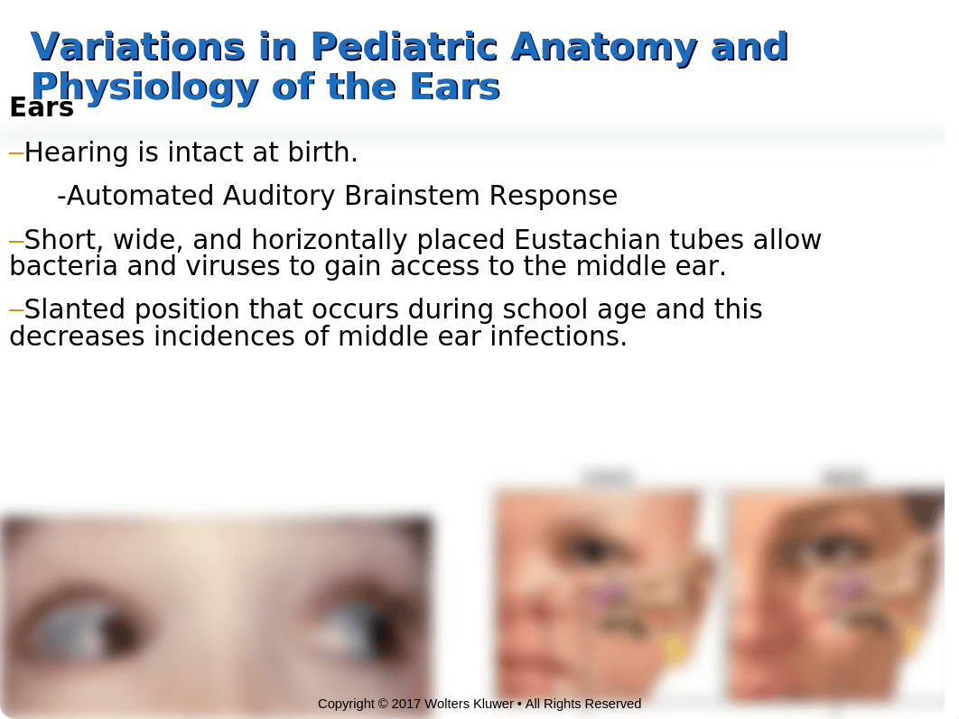 Ch. 17 Sensory Group 2 - Final updated.pptx_d0pk9j12pxg_page4