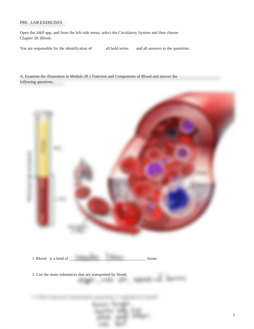 lab_manual_blood_ap.pdf_d0pnje9dl0e_page2