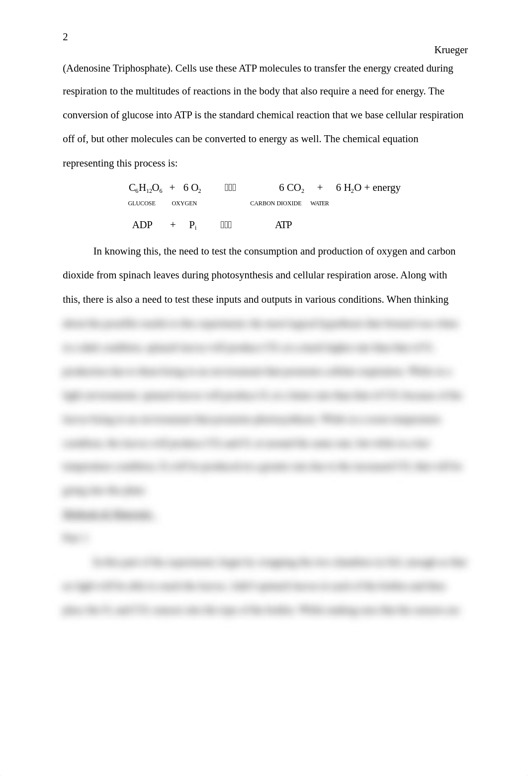 Photosynthesis and Respiration Lab Report.docx_d0q4u1ew2kz_page2