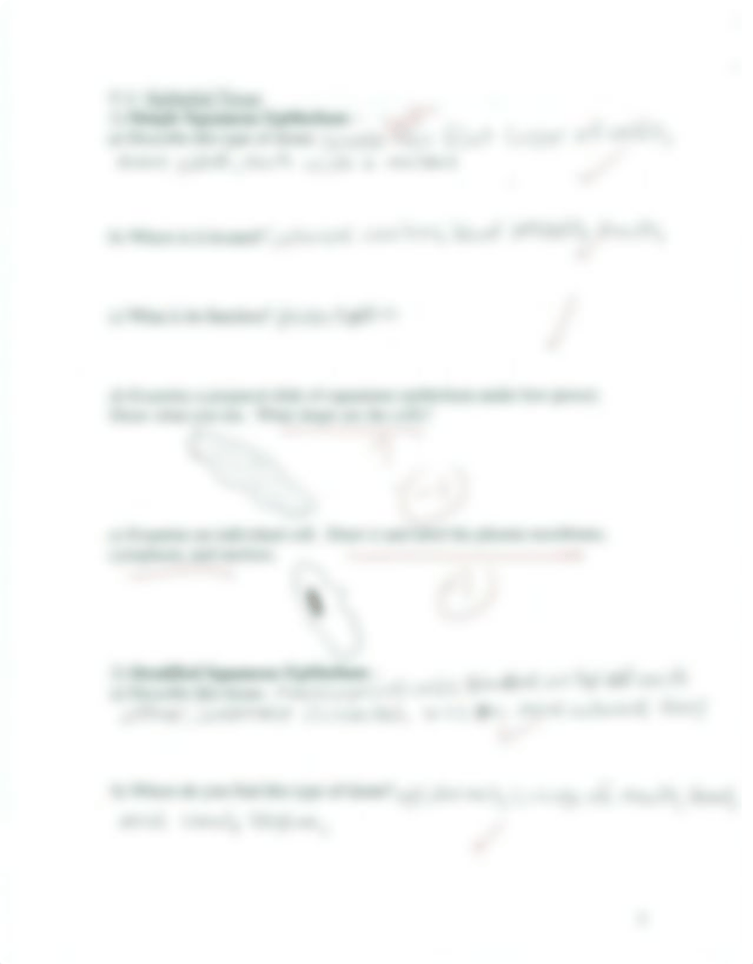 Human Body Tissues Lab_d0q6crzeqzi_page2