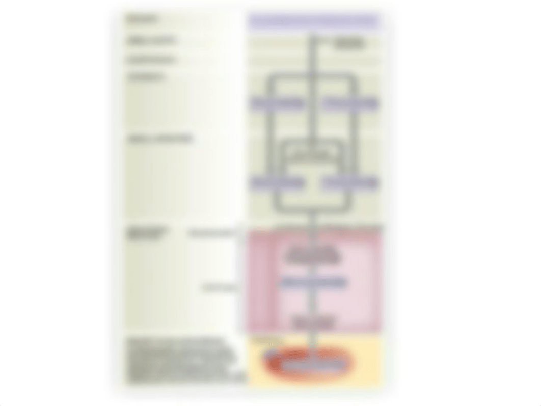 L23 - Digestion and Absorption of Carbohydrates, Fats and Proteins.pdf_d0qasl5rgqi_page5