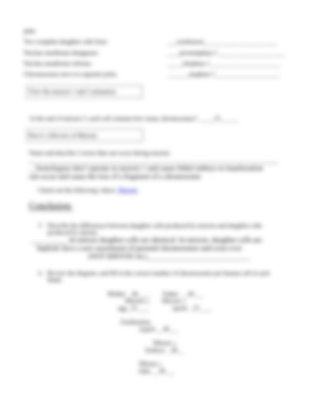 Lab 8 Part I Mitosis and Meiosis.doc_d0qbazxh0nr_page2