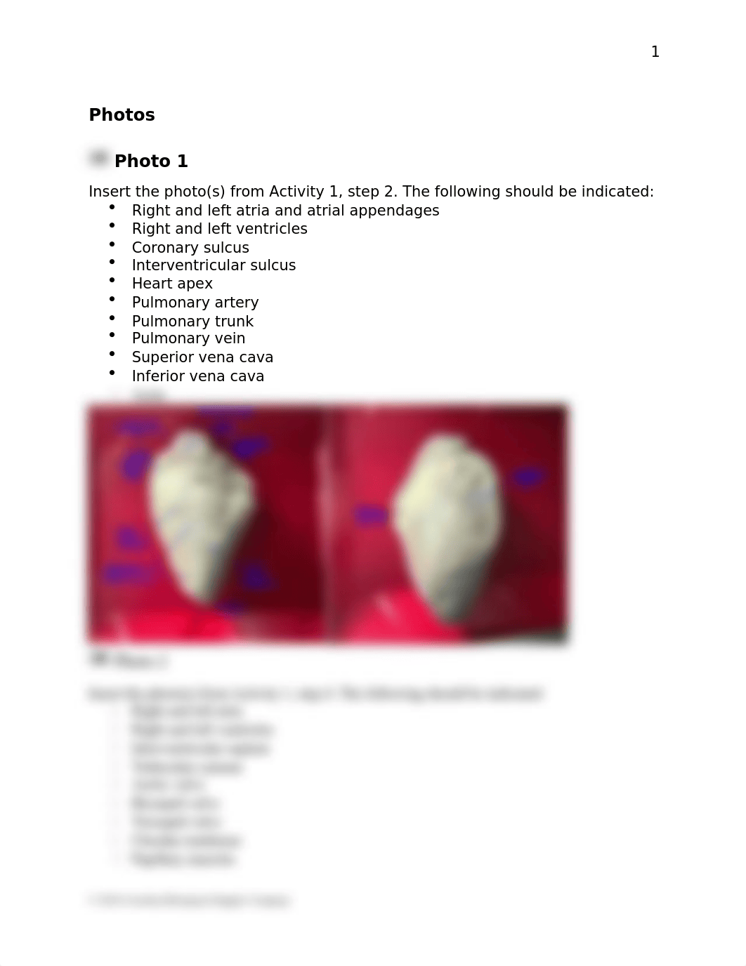 Mammalian Heart Dissection Lab Report - Jake Camarillo.docx_d0qbot8svp4_page2