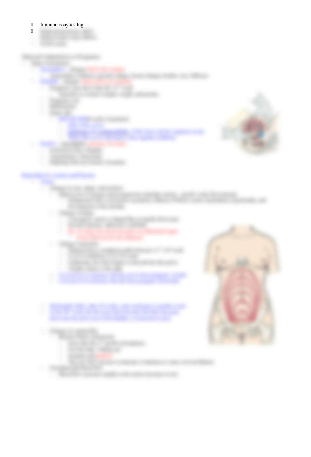 Anatomy and Physiology of Pregnancy STUDY GUIDE.docx_d0qg0drjm5p_page2