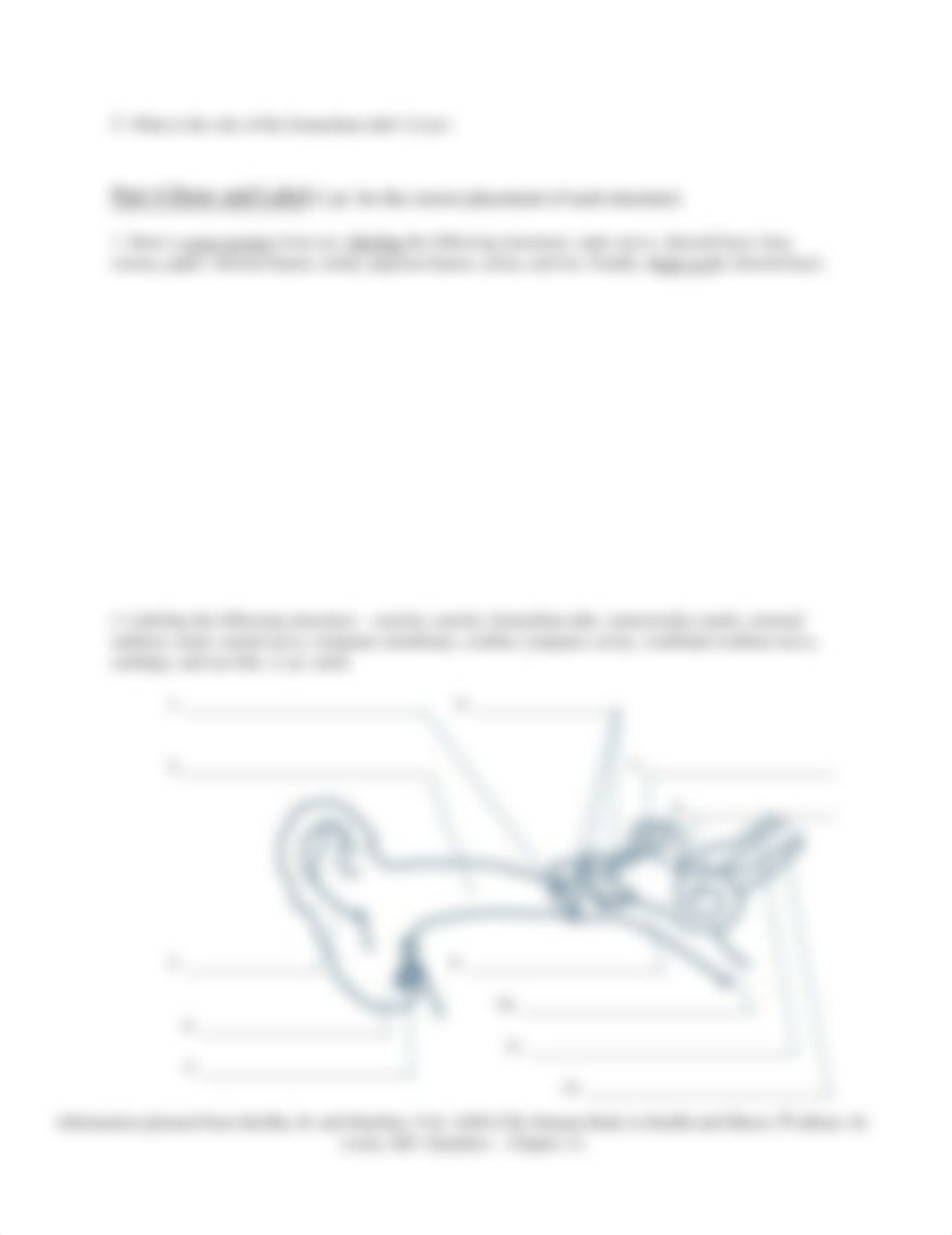 sensory_system_exam.edited.pdf_d0qoyaxqvzm_page4