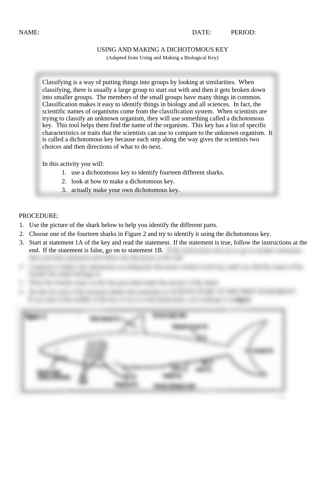 lab_-_dichotomous_key_sharks.docx_d0qp6xinjbm_page2