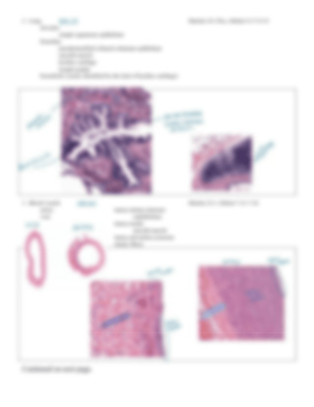 Lab HW 13 Hybrid Respiratory System and Heart.pdf_d0qpjl3piq5_page3