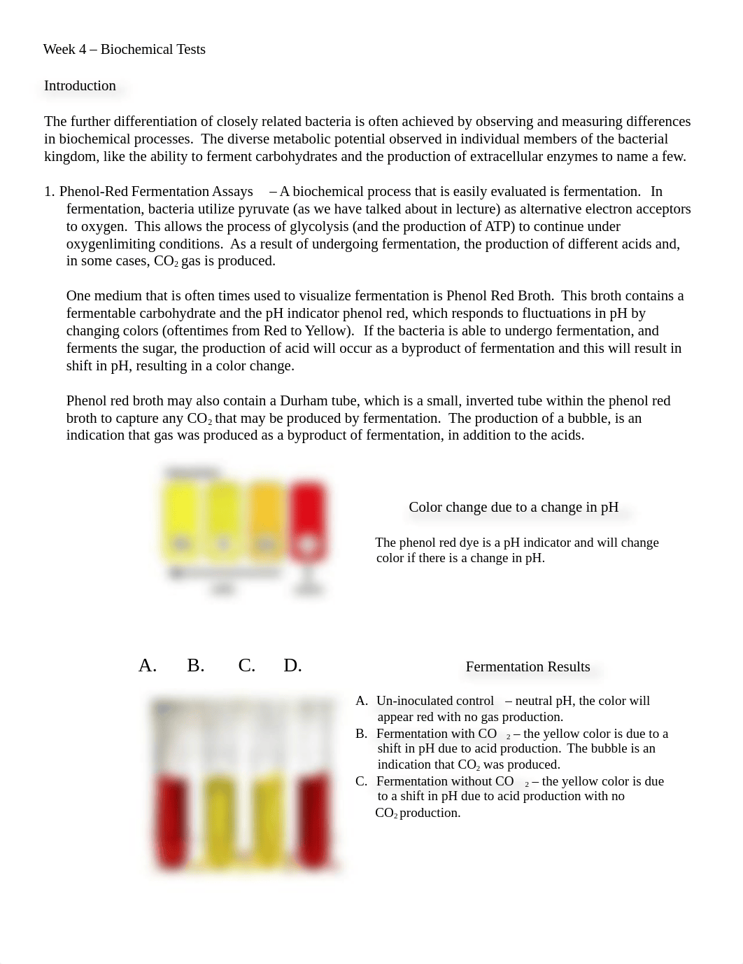 Week 4-- Biochemical Tests.docx_d0qwao6opns_page1