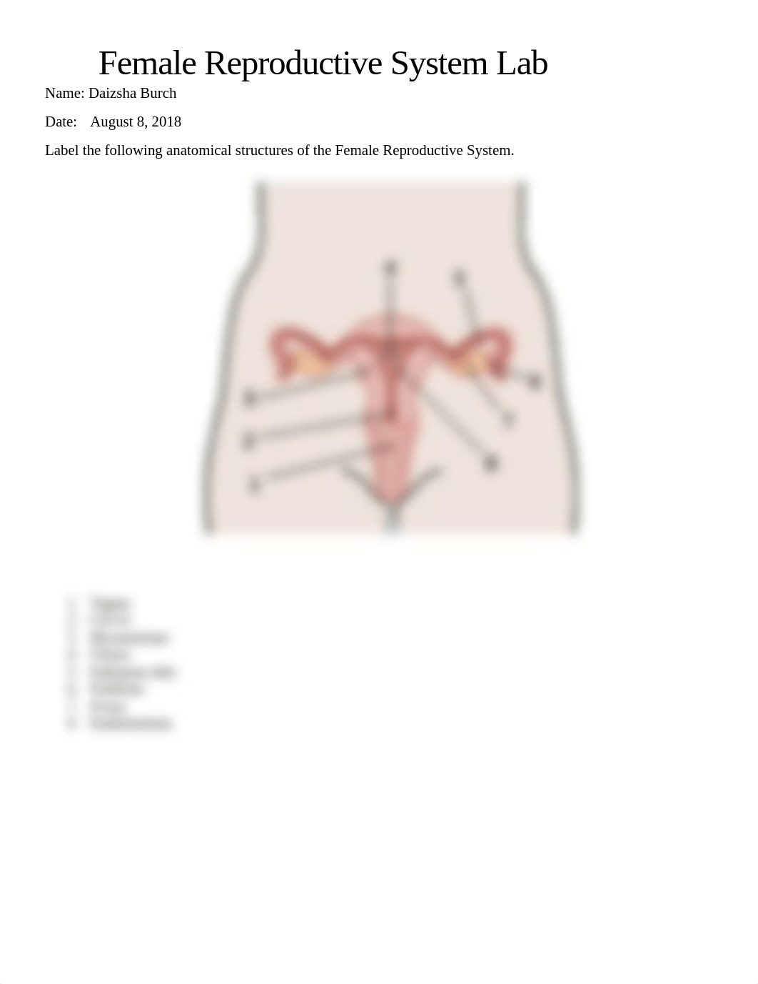 female reproductive system daizsha burch.docx_d0r1o5qjghk_page1