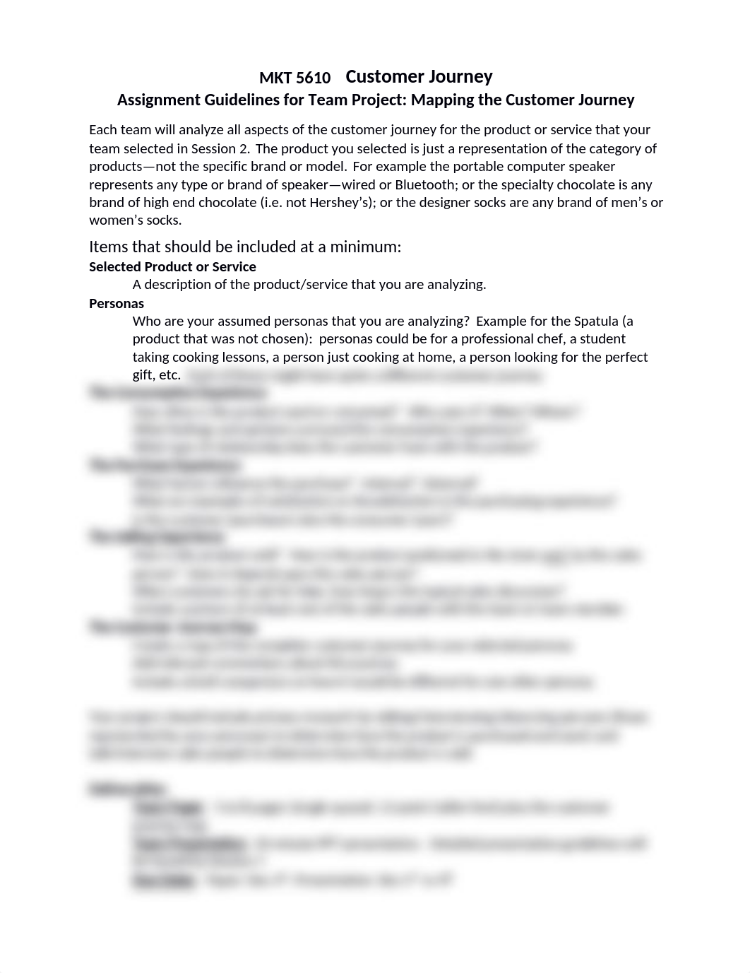 Team Assignment Guidelines - Mapping the Customer Journey.docx_d0r3pyrdyi0_page1