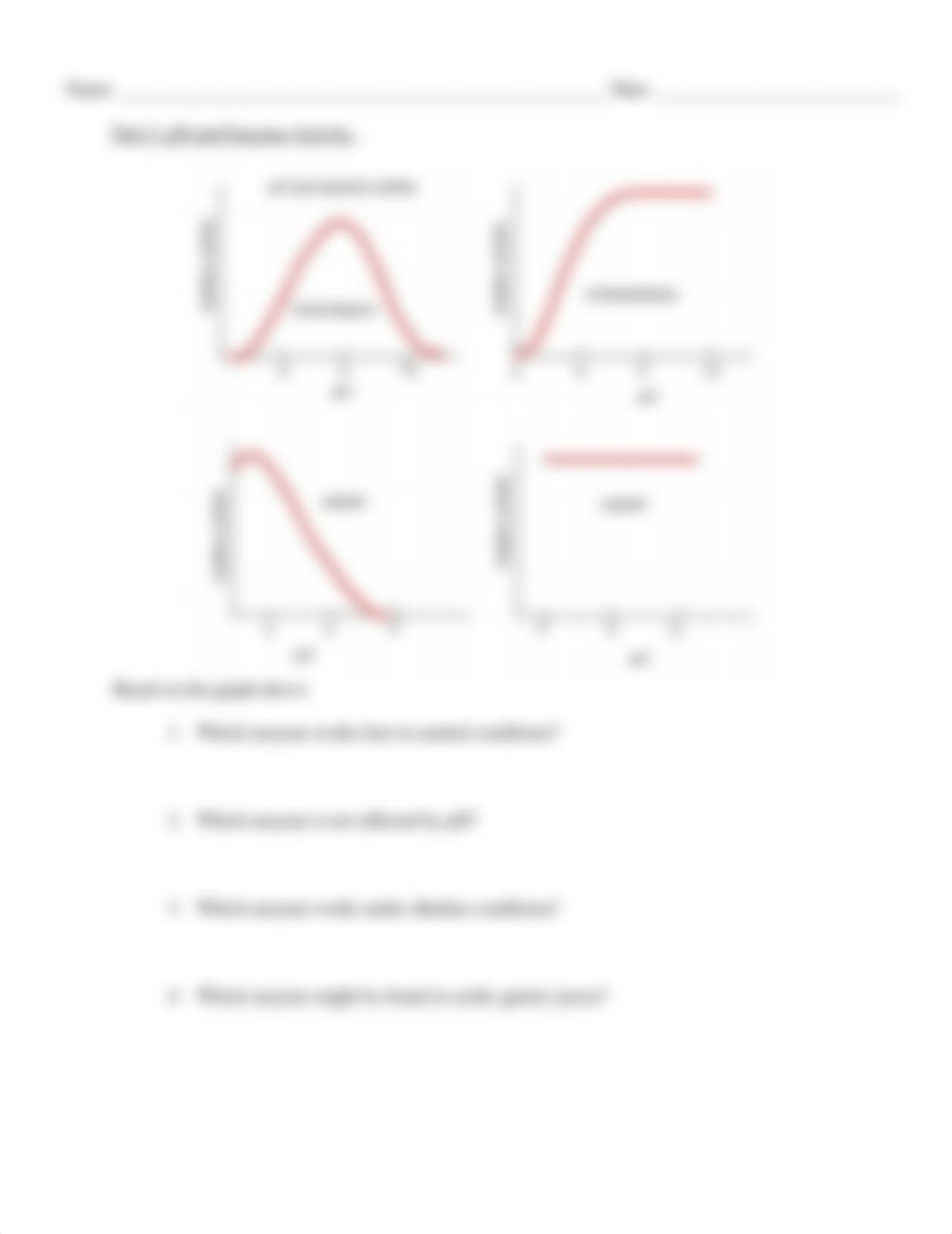 Enzyme Activity Worksheet (1).docx_d0r9b4ghtln_page3